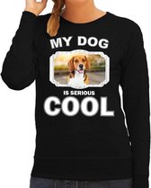 Beagle honden trui / sweater my dog is serious cool zwart - dames - Beagles liefhebber cadeau sweaters M