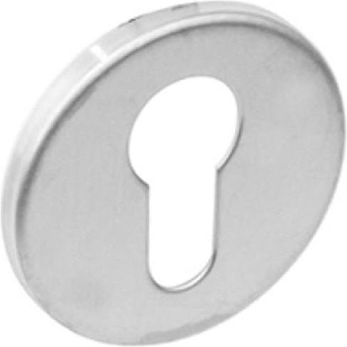 Intersteel Rozet rond plat verdekt met profielcilindergat rvs geborsteld