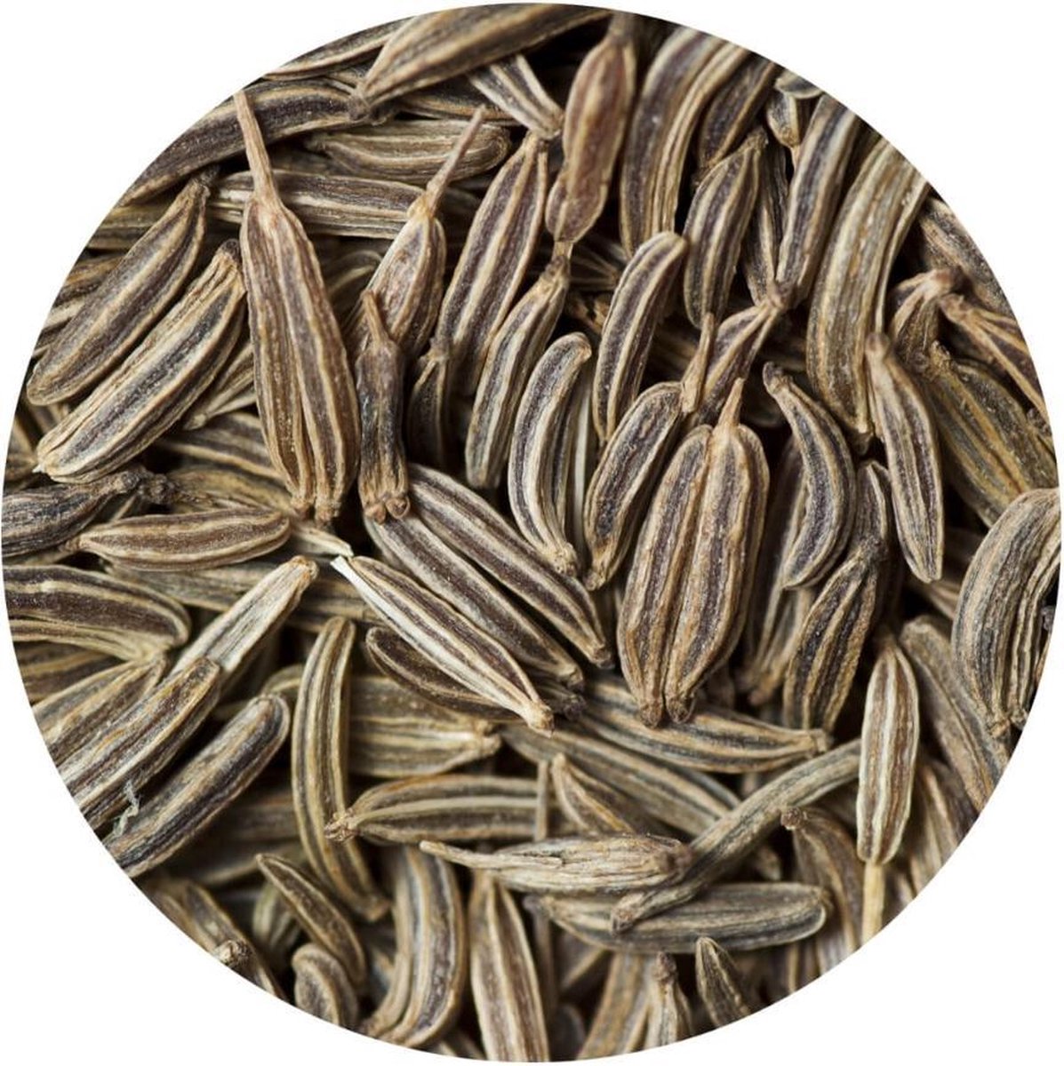 Goedkoopste Karwij Heel kiemarm - 100 gram - Holyflavours