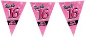 Sweet 16 slingers 10 meter roze - 16e Verjaardag - Vlaggenlijnen/slingers - Feestversiering