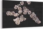 Schilderij - Kersenbloemen - zwart — 100x70 cm