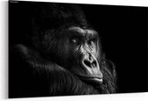 Schilderij - Mannelijke gorilla — 100x70 cm