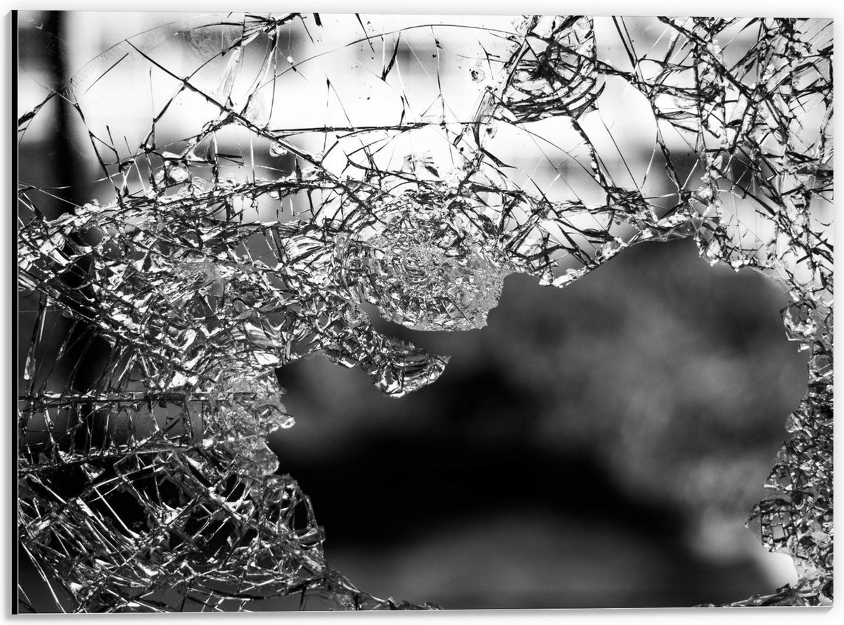 KuijsFotoprint Dibond - Blad bij Takken (zwart/wit) - 40x30cm Foto op Aluminium (Wanddecoratie van metaal)