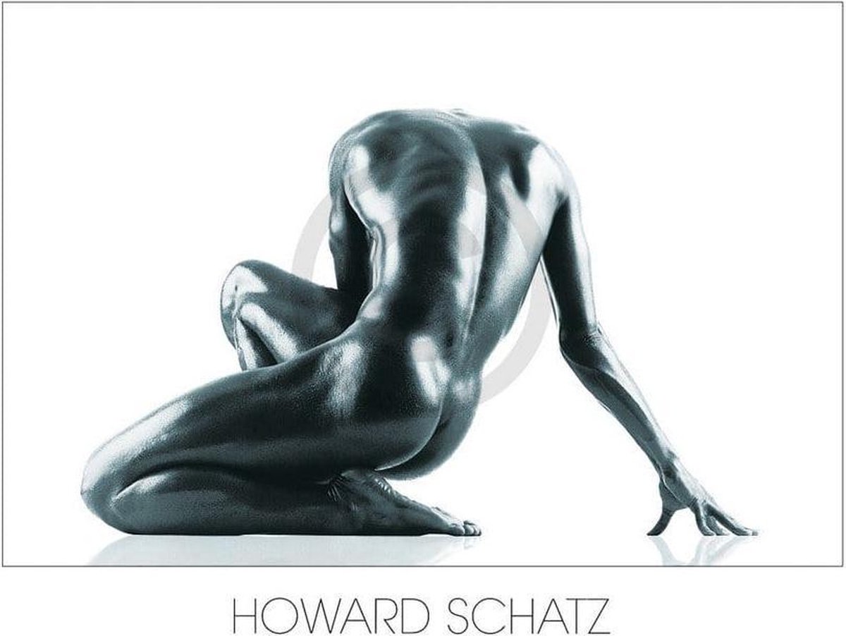 PGM Kunstdruk Howard Schatz - Ästhetik 80x60cm Divers