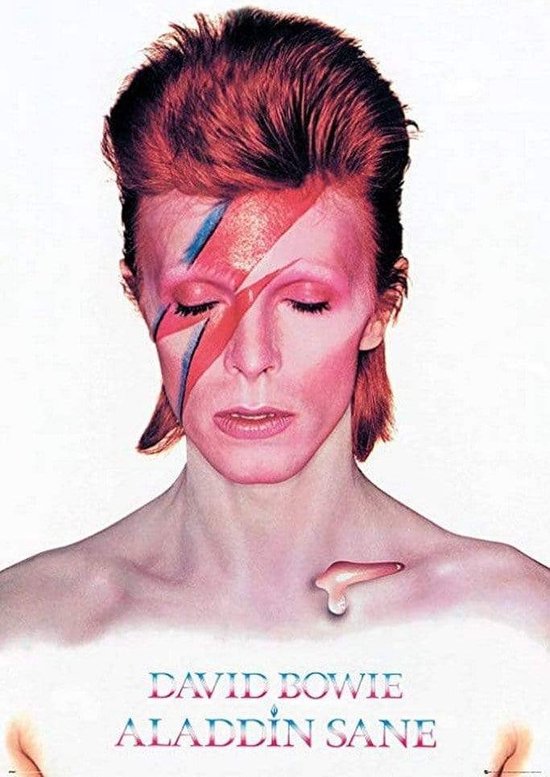 David Bowie: Ziggy - Maxi Poster (625)