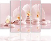Schilderij , Orchidee op Zen stenen , 4 maten , 5 luik , wit roze , Premium print , XXL