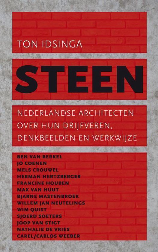 Cover van het boek 'Steen'