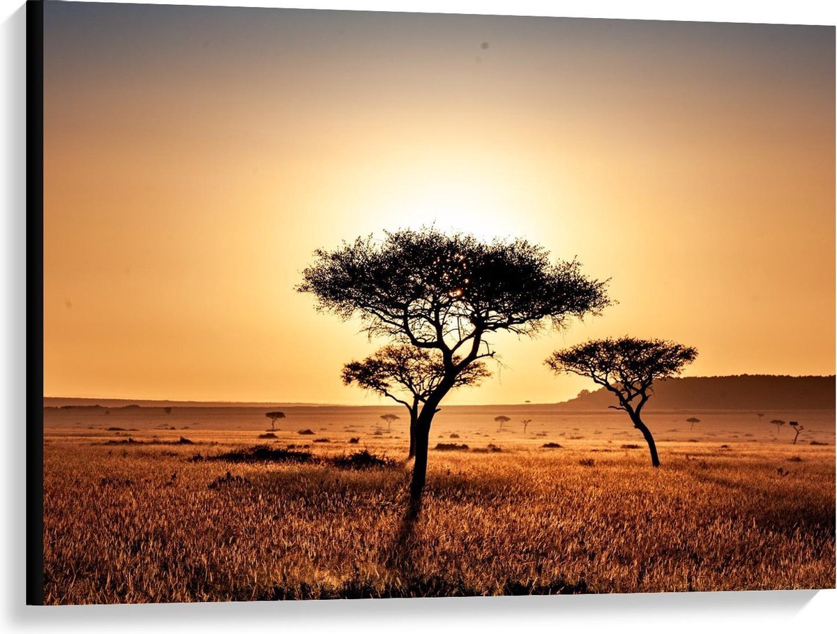 Canvas  - Afrikaanse Landschap  - 100x75cm Foto op Canvas Schilderij (Wanddecoratie op Canvas) op Prijzenvolger.com