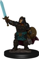 Dungeons and Dragons: Icons of the Realms - Dwarf Paladin Female