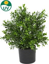 Kunstplant buxus mini 36 cm in pot UV