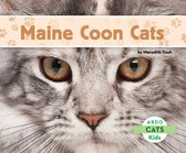 Cats - Maine Coon Cats