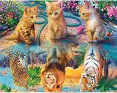 Painting Expert® Schilderen op nummer Volwassenen - Schilderen op nummer Kinderen - Katjes en Leeuwen - 40x50cm - Exclusief Lijst (24 kleurtjes)