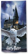 Harry Potter Strandlaken Hedwig - 70 x 140 cm - Multi
