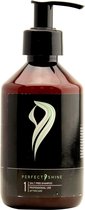 Perfect Shine - Salt Free Shampoo - 250 ml