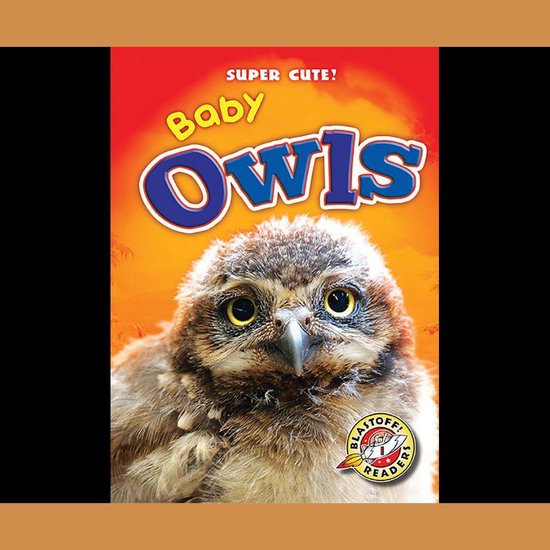 Baby Owls - cover