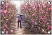 Tuinposter –Roze Heg– 40x30 Foto op Tuinposter (wanddecoratie voor buiten en binnen)