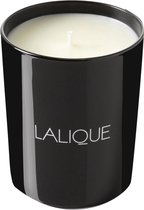 Lalique Candle 190g - Peuplier Aspen