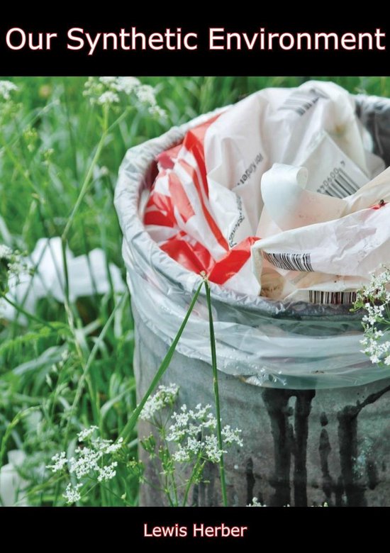 Our Synthetic Environment - cover