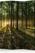 Kamerscherm - Scheidingswand - Vouwscherm - Morning in the Forest [Room Dividers] 135x172 - Artgeist Vouwscherm