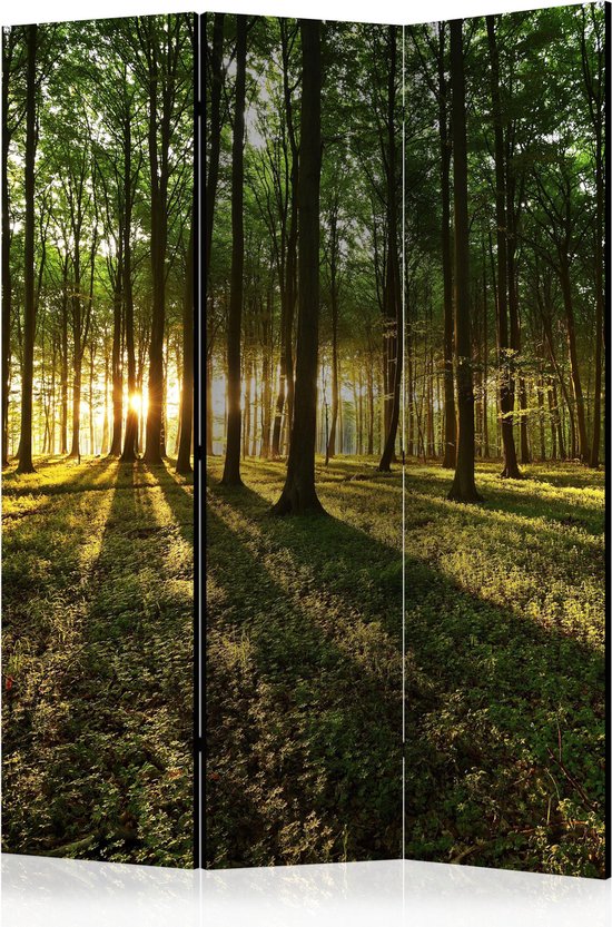 Kamerscherm - Scheidingswand - Vouwscherm - Morning in the Forest [Room Dividers] 135x172 - Artgeist Vouwscherm