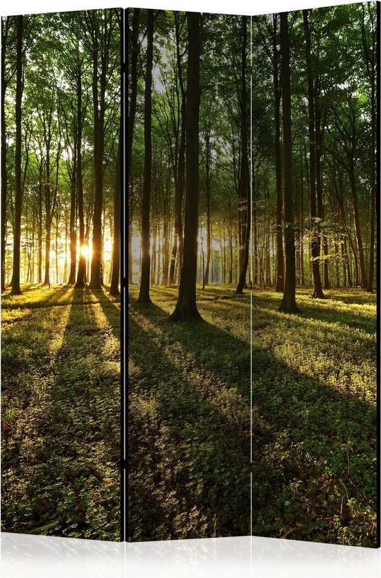 Foto: Kamerscherm scheidingswand vouwscherm morning in the forest room dividers 135x172 artgeist vouwscherm