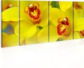 Schilderijen Op Canvas - Schilderij - Orchids - intensity of yellow color 120x60 - Artgeist Schilderij