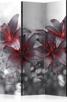 Kamerscherm - Scheidingswand - Vouwscherm - Shadow of Passion [Room Dividers] 135x172 - Artgeist Vouwscherm