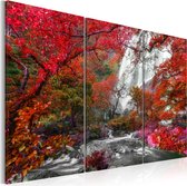 Schilderijen Op Canvas - Schilderij - Beautiful Waterfall: Autumnal Forest 120x80 - Artgeist Schilderij