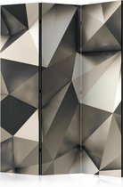 Kamerscherm - Scheidingswand - Vouwscherm - Cosmic Silver [Room Dividers] 135x172 - Artgeist Vouwscherm