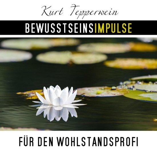 Bewusstseinsimpulse für den Wohlstandsprofi - cover
