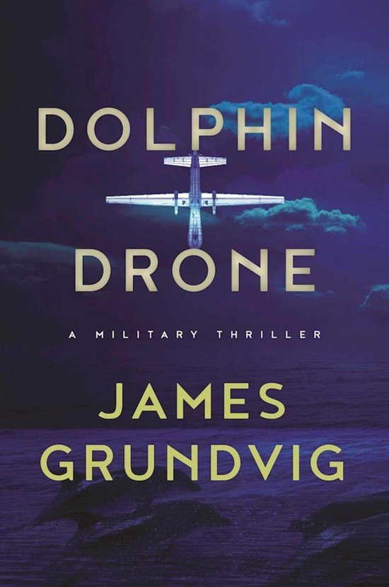 Dolphin Drone - cover
