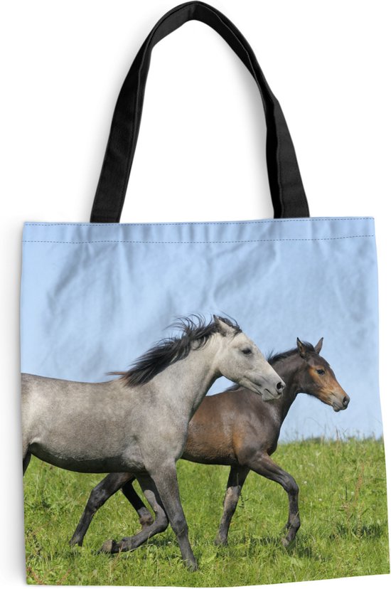 Diverse toebehoren voor paarden