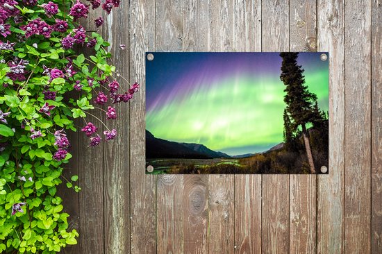 Posters de jardin Aurores Boréales - Arbre - Berg - Nature - 90x60 cm