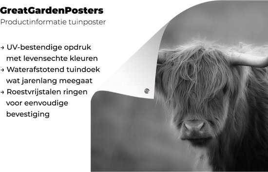 Tuinposter - Tuindoek - Tuinposters buiten - Schotse hooglander bij een berg - zwart wit - 120x80 cm - Tuin