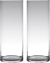 Set van 2x stuks transparante home-basics Cylinder vorm vaas/vazen van glas 50 x 19 cm - Bloemenvaas voor binnen gebruik
