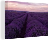 Canvas Schilderij Lavendel - Paars - Bloemen - Natuur - 30x20 cm - Wanddecoratie