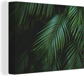 Canvas Schilderij Palmbladeren - Palmen - Tropical - 80x60 cm - Wanddecoratie
