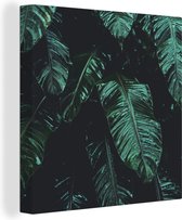 Canvas Schilderij Jungle - Palmboom - Bladeren - Tropisch - 90x90 cm - Wanddecoratie