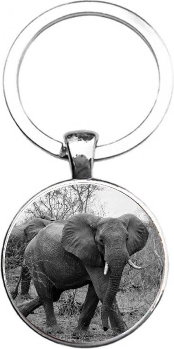 Sleutelhanger Glas - Olifant