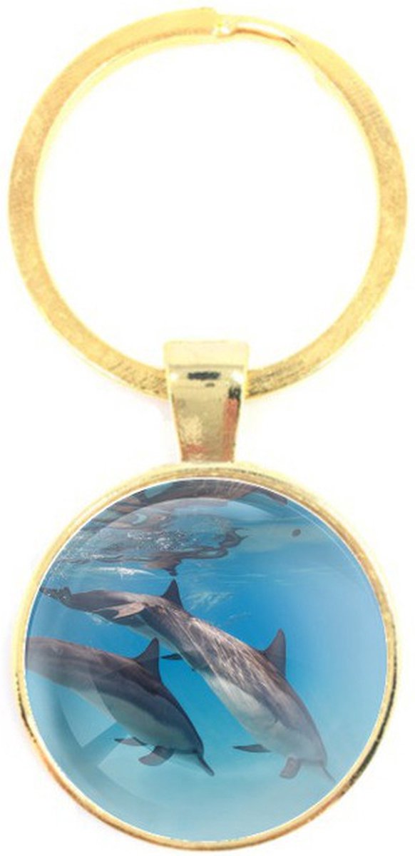 Sleutelhanger Glas - Dolfijnen