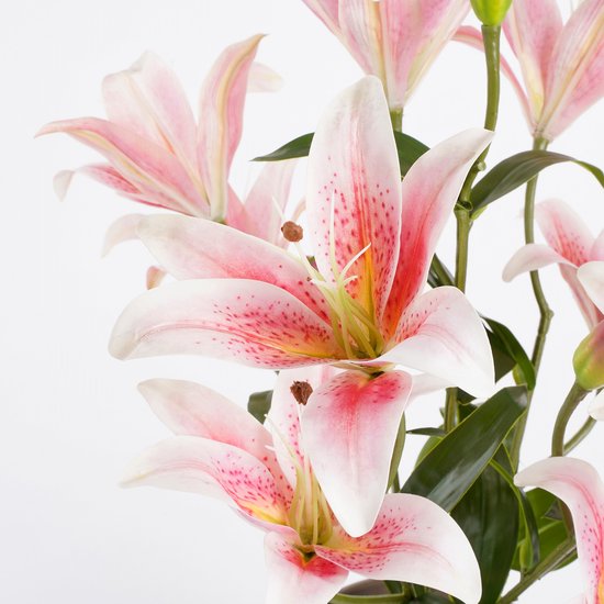 Service de vaisselle en porcelaine florale, ensemble de 18 pièces, avec motif fl
