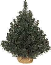 Triumph Tree Alpine Spruce - Sapin de Noël artificiel hauteur 60 cm - Sans éclairage