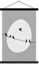 Porte-affiche avec affiche - Affiche scolaire - Vogels - Zwart - Wit - 120x180 cm - Lattes noires