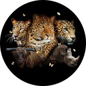 100 x 100 cm - Peinture sur verre - peinture ronde - animaux sauvages - tirage photo sur verre
