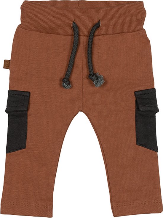Frogs and Dogs - Dino Park Cargo Pants - Jongens