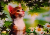 S.Y.W Poster - Poes - 34.5 X 24.5 Cm - Multicolor