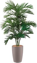 HTT - Kunstplant Areca palm in Genesis rond taupe H170 cm