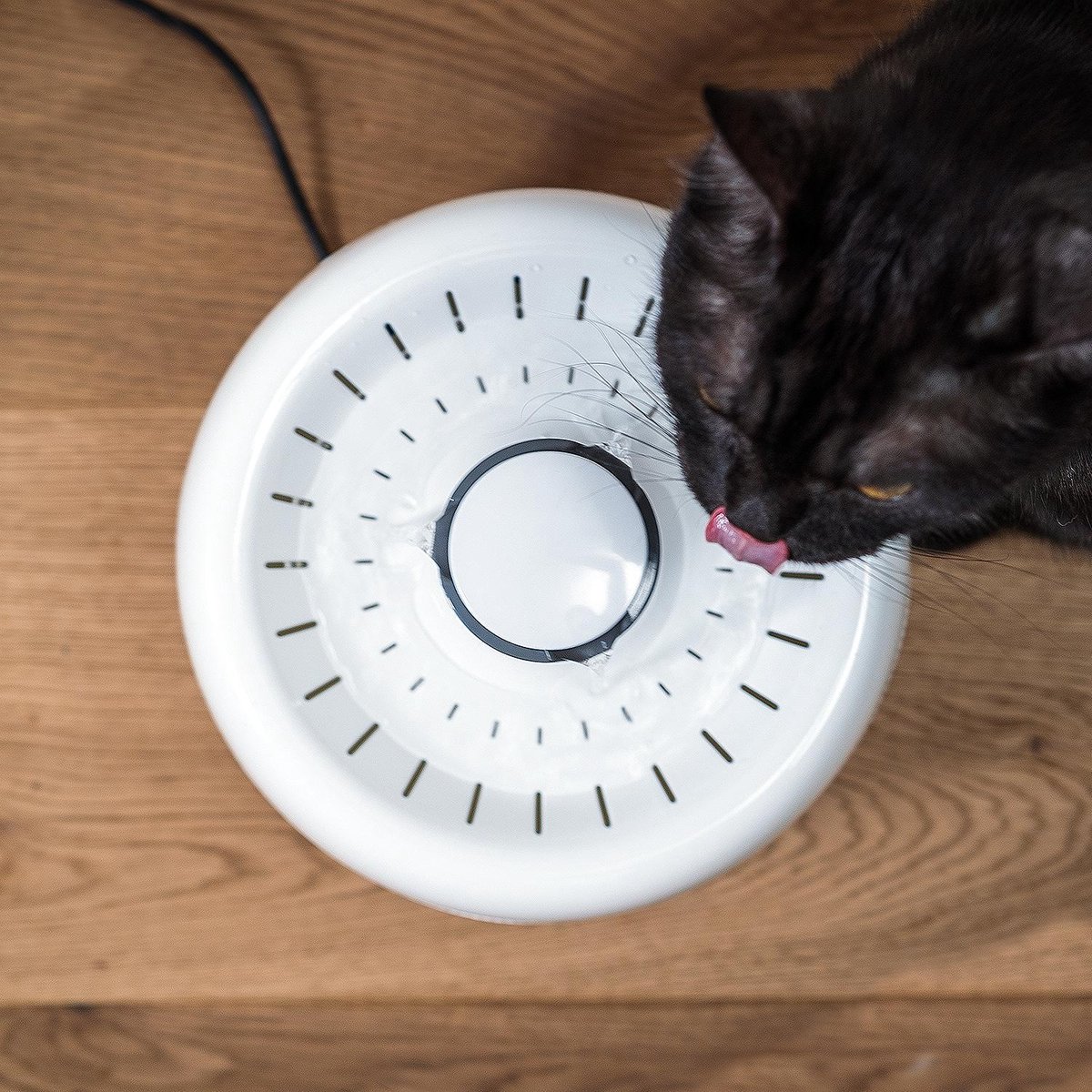 Lunvon pet fountain sales