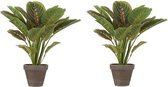2x Groene Calathea kunstplant 38 cm in bruine plastic pot - Kunstplanten/nepplanten 2 stuks