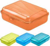Rotho lunchbox FUN 1,25 l (20 x 14 x 6 cm) groen 1250 ml